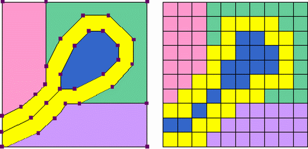 vector and raster comparison